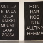 Finnish and Swedish banners